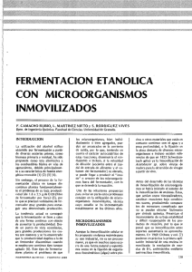 86) Fermentación etanólica con microorganismos inmovilizados.