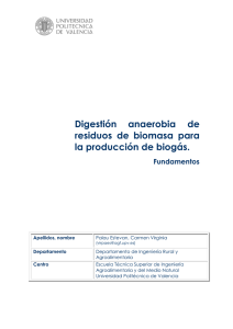 Digestión anaerobia de residuos de biomasa para la producción de