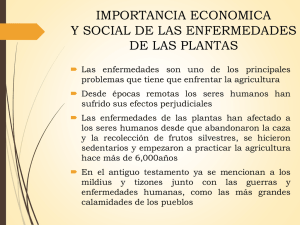 IMPORTANCIA ECONOMICA Y SOCIAL DE LAS ENFERMEDADES