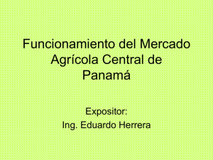 Funcionamiento del Mercado Agrícola Central de Panamá