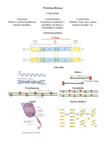 Proteínas fibrosas α-Queratinas Estructura Características