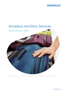 Amadeus Ancillary Services GRR