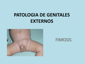 PATOLOGIA DE GENITALES EXTERNOS