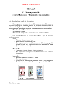 Microfilamentos y filamentos intermedios