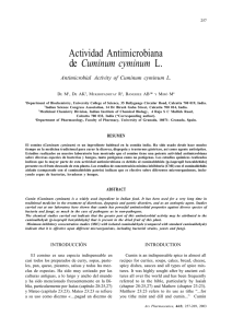 Actividad Antimicrobiana de Cuminum cyminum L.