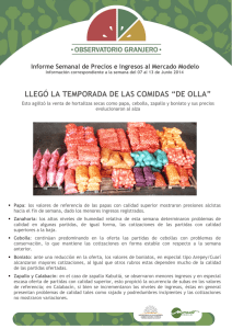 Informe Nro 22 - Mercado Modelo
