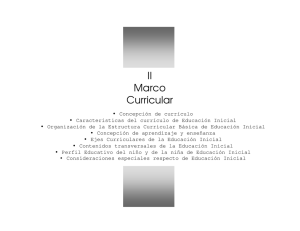 II Marco Curricular
