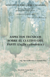 Aspectos técnicos sobre el cultivo del Paste (Luffa cylindrica)