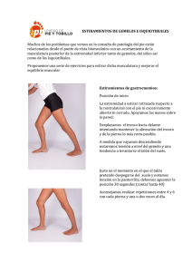 PDF estiramientos gemelos-isquiotibiales