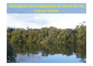 Cartografía de la vegetación de ribera del río Tajo en Toledo