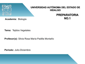 Tejidos Vegetales - Universidad Autónoma del Estado de Hidalgo