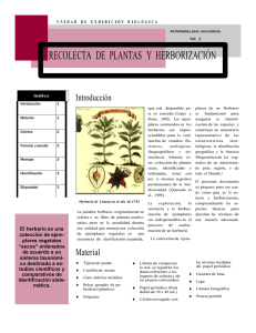 RECOLECTA DE PLANTAS Y HERBORIZACIÓN