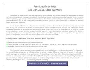 Fertilización en Trigo Ing. Agr. MsSc. César Quintero