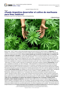 ¿Puede Argentina desarrollar el cultivo de marihuana para fines