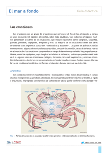 guía didáctica crustáceos
