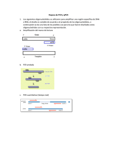 Repaso de PCR y qPCR 1. Los siguientes oligonucleótidos se