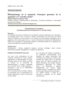 Histopatología de la apoptosis. Principios generales de la apoptosis
