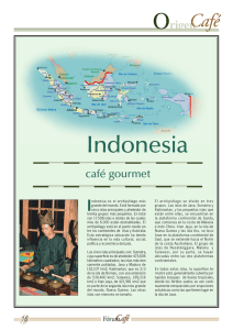Origen del Café: Indonesia