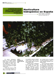 Horticultura hidropónica en España