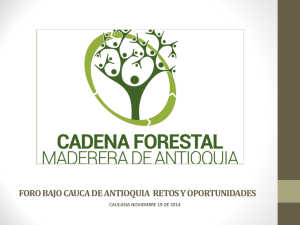 CADENA FORESTAL Y MADERERA DE ANTIOQUIA