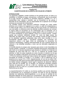 Practica # 6 CUANTIFICACION DE CLOROFILA DE HOJAS DE