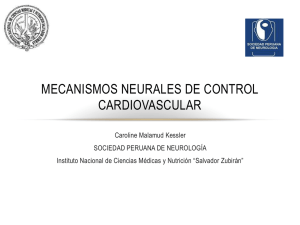 Control Neural del Sistema Cardiovascular
