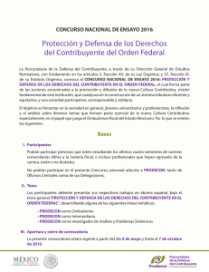 Concurso Nacional de Ensayo 2016 / Protección y Defensa de los
