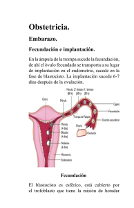 Obstetricia.