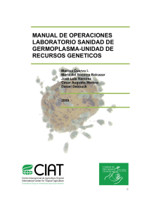 Manual de operaciones Laboratorio Sanidad de Germoplasma, CIAT