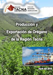 Producción y Exportación de Orégano - Inicio