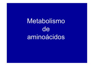Metabolismo de aminoácidos