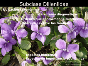 Dilleniidae (Presentación Teórica 2015)