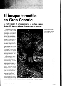 El bosque termófilo en Gran Canaria