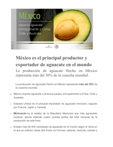 México es el principal productor y exportador de aguacate en el