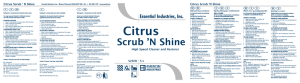 Citrus Scrub `N Shine - Essential Industries