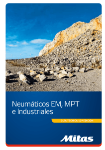 Neumáticos EM, MPT e Industriales