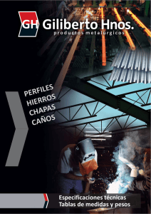 PERFILES HIERROS CHAPAS CAÑOS