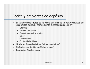 facies - Centro de Geociencias ::.. UNAM