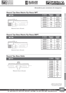 Abrazaderas para conexiones de mangueras B775 Racord Tipo