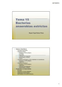 Bacterias anaerobias estrictas. Género Clostridium
