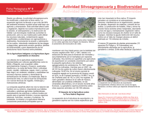 Actividad Silvoagropecuaria y Biodiversidad Actividad