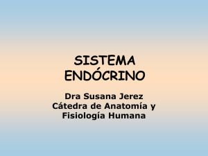 Susana Jerez