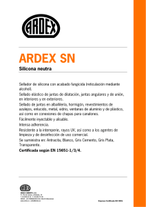 ARDEX SN Silicona neutra