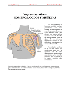 Yoga restaurativo – HOMBROS, CODOS Y