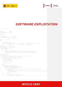 Software Exploitation