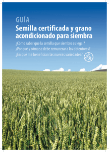 Guía Semilla Certificada y grano acondicionado para siembra