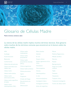 Glosario de Células Madre - A Closer Look at Stem Cell Treatments