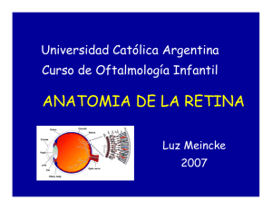 anatomia de la retina - Universidad Católica Argentina