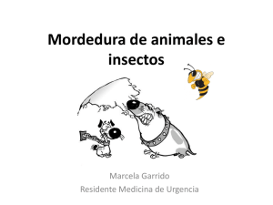 Mordeduras de mamíferos