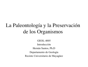 Paleo Intro - Recinto Universitario de Mayagüez
